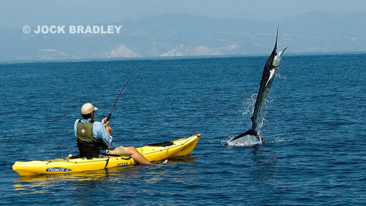 Fais pas le Marlin (Espadon en Kayak)  ! !