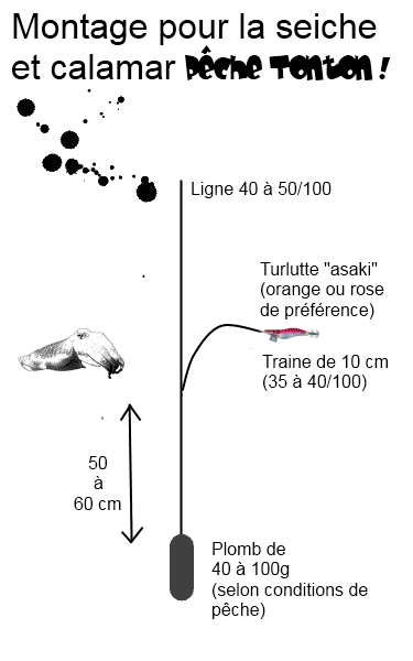 Montage d’un leurre pour le calamar ou la seiche (drop-shot)