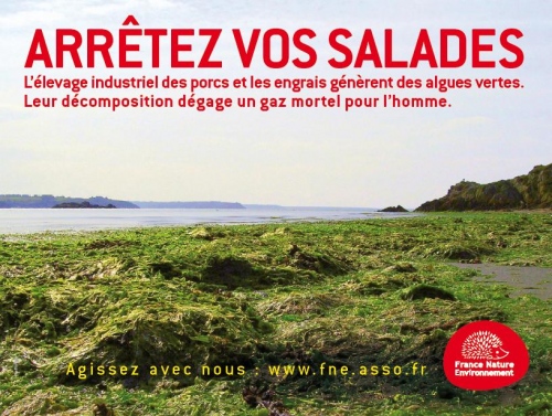 Arrêtez vos salades !