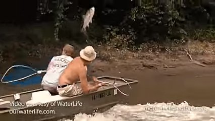 Air Carp One Fishing