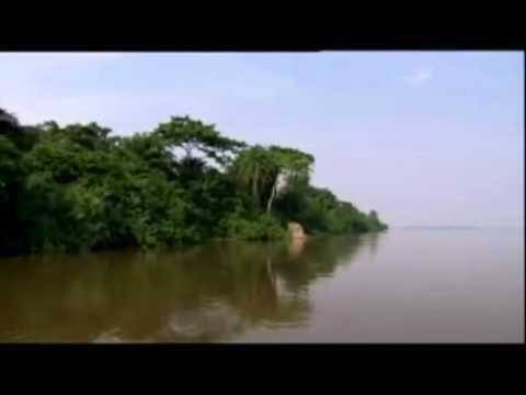 Majestic Congo River