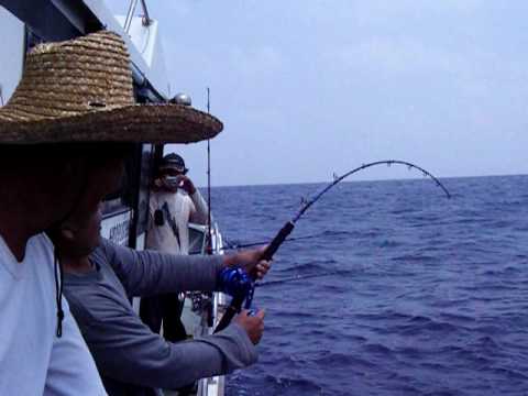 La vraie pêche !