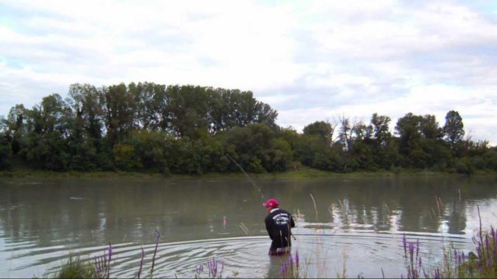 Un silure même popper