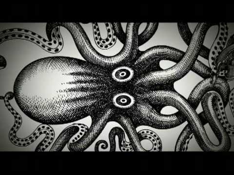 The myth of the Kraken