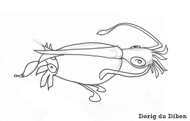 Squid par Dorig du Diben