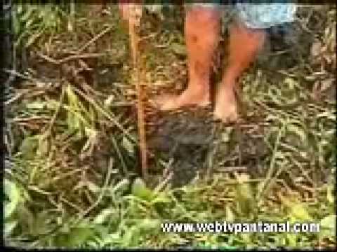 Ice fishing without ice