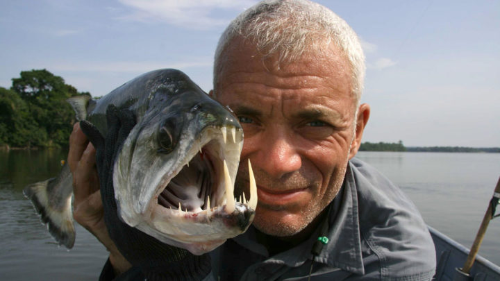 Congo River Monsters