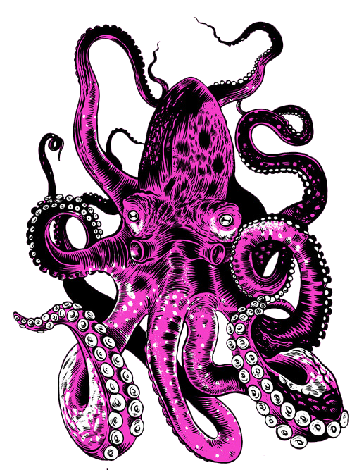 Pink Octopus
