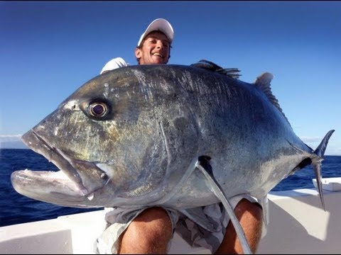 Même Popper en Calédonie