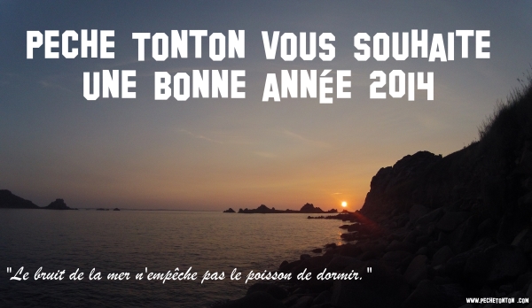 Bonne Année 2014