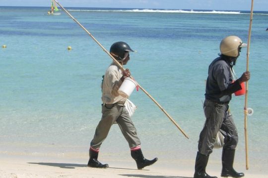 daft punk à la pêche