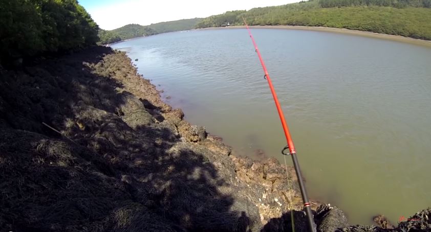 La Pêche du bar à vue