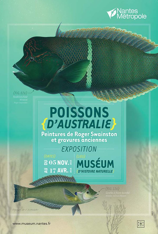 Poissons du bout du monde