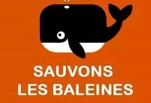 Sauvons les baleines