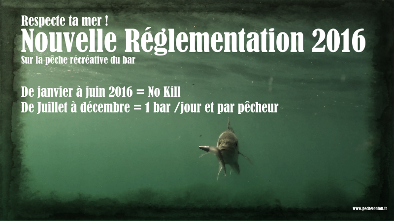 Réglementation de la pêche récréative du bar 2016