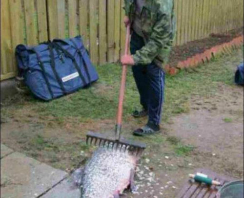 Pendant ce temps là en Russie