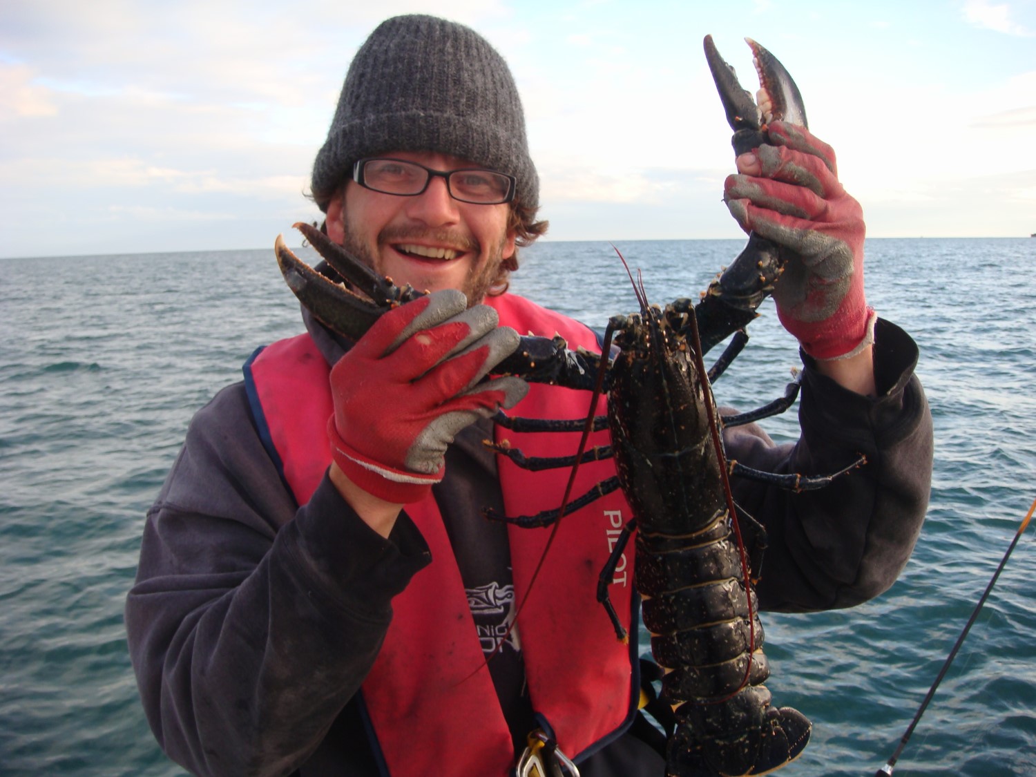 Homard à la Kermorphézienne