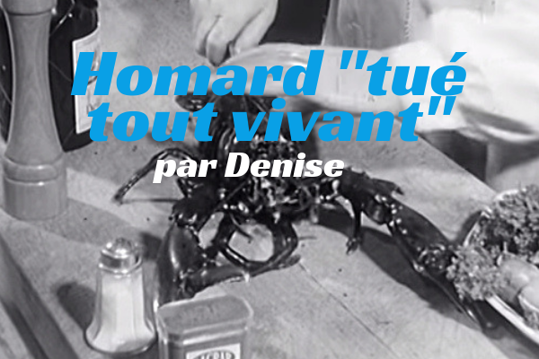 Homard « tué tout vivant » par Denise