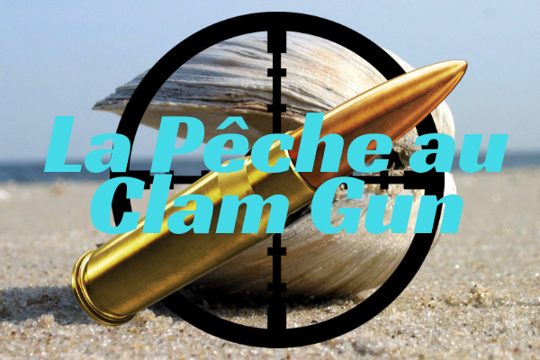 La pêche au « Clam Gun »