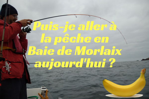 Puis je aller a la pêche ?