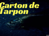 carton de tarpon