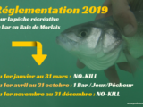 loi pêche bar 2019