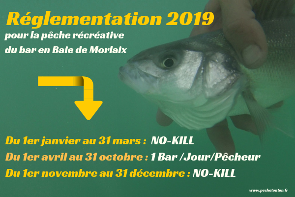 loi pêche bar 2019