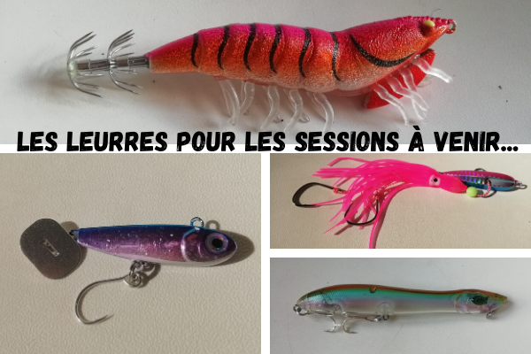 Les leurres pour les sessions à venir…