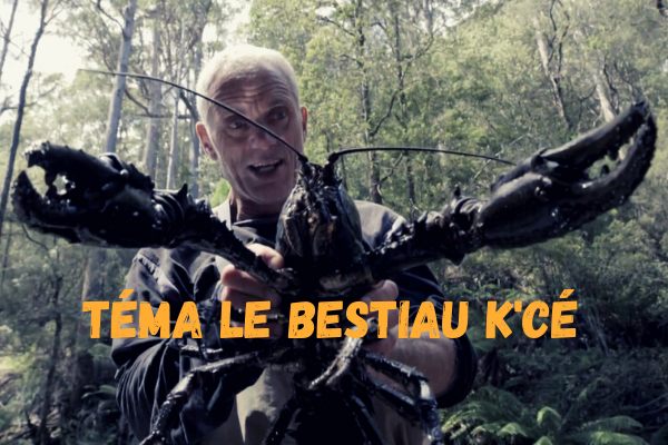 Téma le Bestiau k’cé