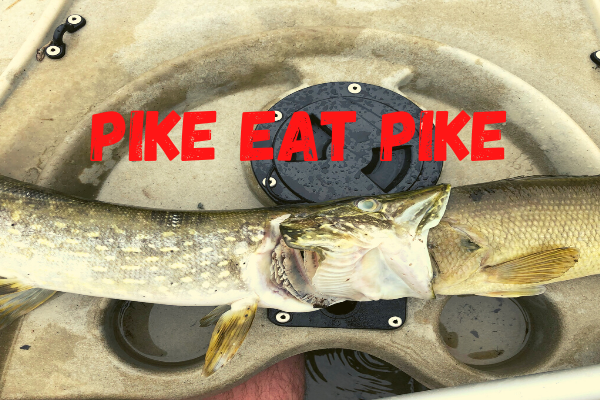 Ca pike fort !